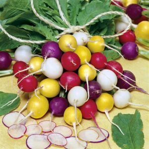 Củ cải cherry mix