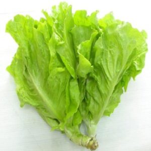 Xà Lách Dún Vàng