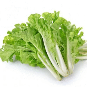 Cải bẹ dún Tokyo Bekana