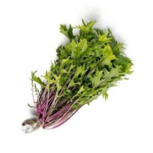 Cải Mizuna tím