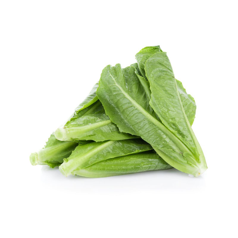 Xà lách romaine ngọt